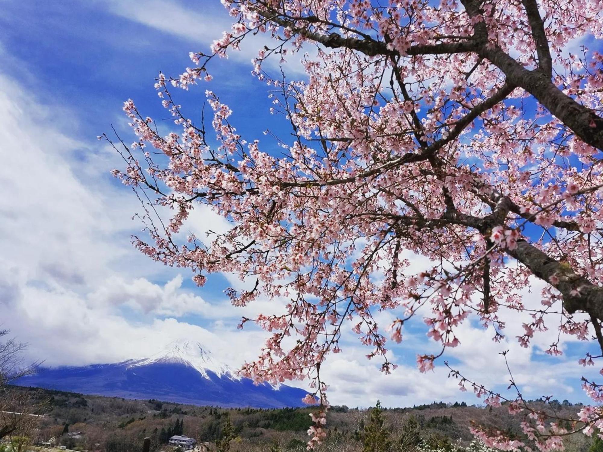 Rokumeikan Hills Yamanakako Exterior foto